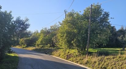 Terrain agricole à Santa Bárbara de Nexe de 4 520 m²