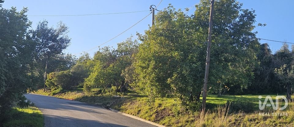 Terreno rústico em Santa Bárbara de Nexe de 4 520 m²