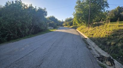 Terrain agricole à Santa Bárbara de Nexe de 4 520 m²
