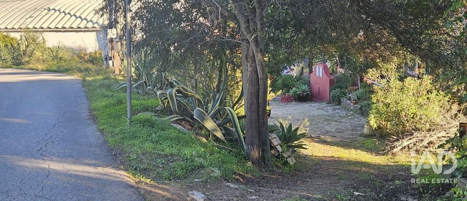 Terreno rústico em Santa Bárbara de Nexe de 4 520 m²