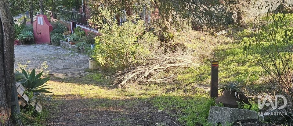 Terreno rústico em Santa Bárbara de Nexe de 4 520 m²