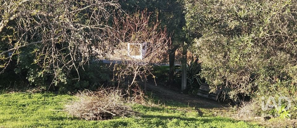 Terreno rústico em Santa Bárbara de Nexe de 4 520 m²