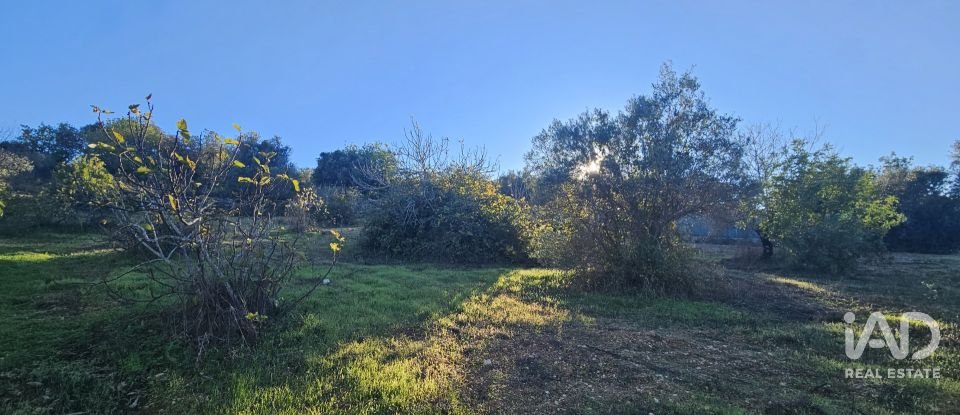 Terreno rústico em Santa Bárbara de Nexe de 4 520 m²