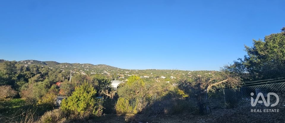 Terreno rústico em Santa Bárbara de Nexe de 4 520 m²