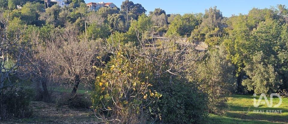 Terreno rústico em Santa Bárbara de Nexe de 4 520 m²