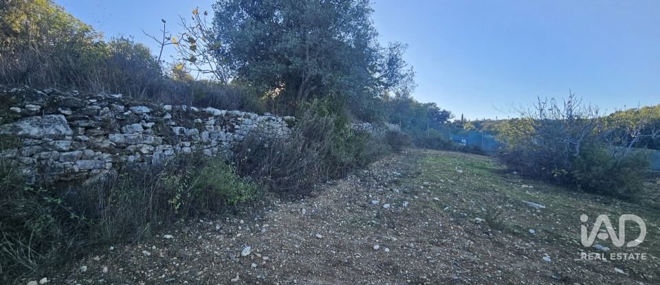 Terreno rústico em Santa Bárbara de Nexe de 4 520 m²