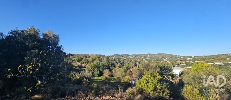 Terreno rústico em Santa Bárbara de Nexe de 4 520 m²
