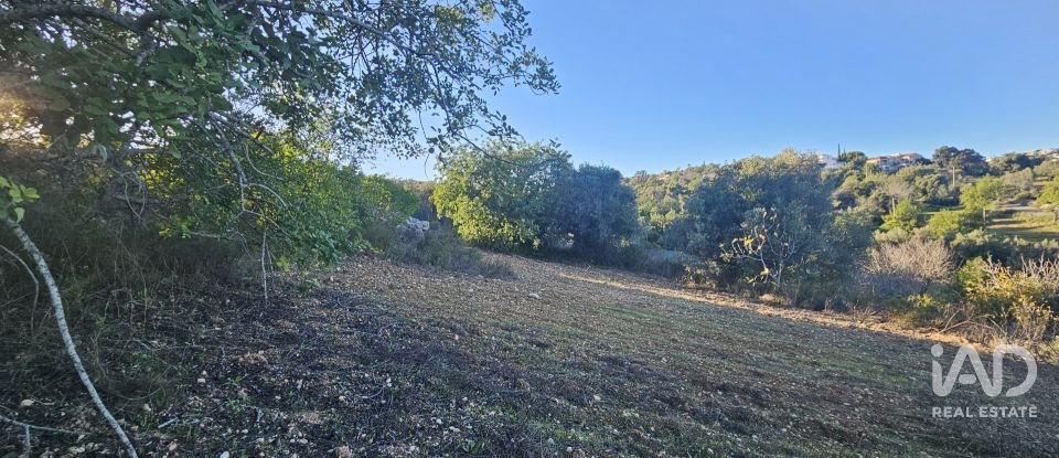 Terreno rústico em Santa Bárbara de Nexe de 4 520 m²