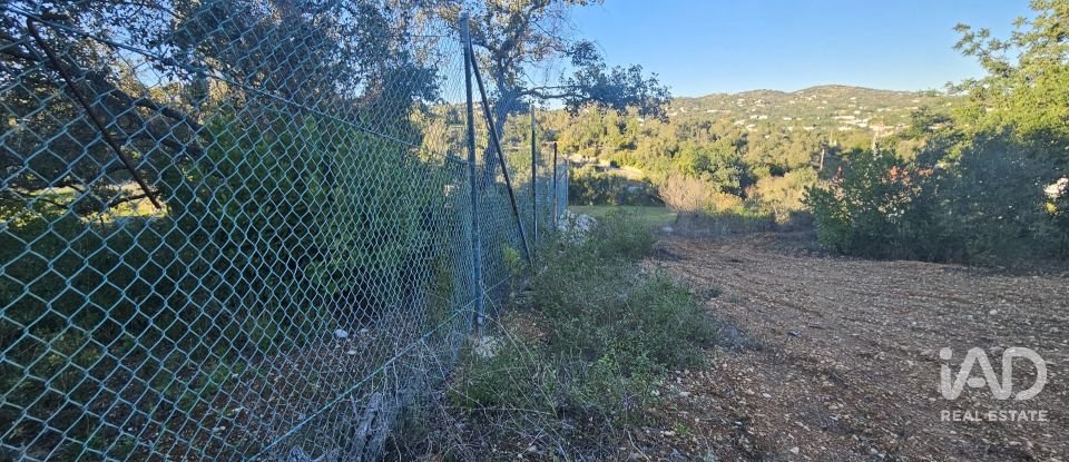 Terreno rústico em Santa Bárbara de Nexe de 4 520 m²