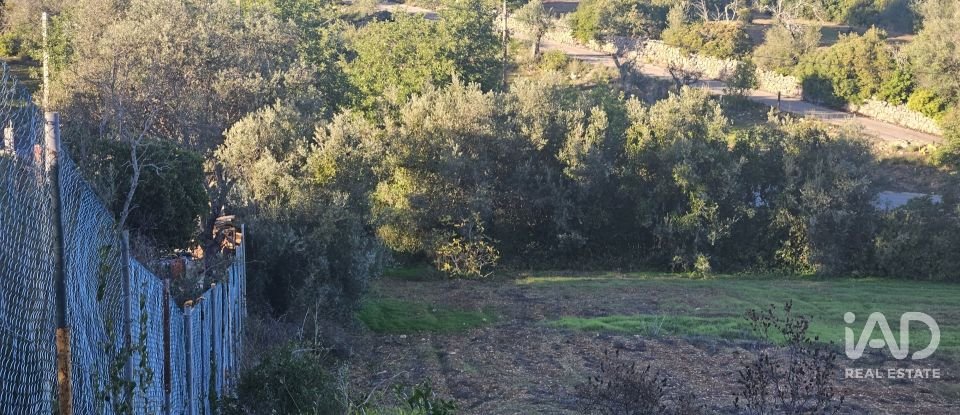 Terreno rústico em Santa Bárbara de Nexe de 4 520 m²