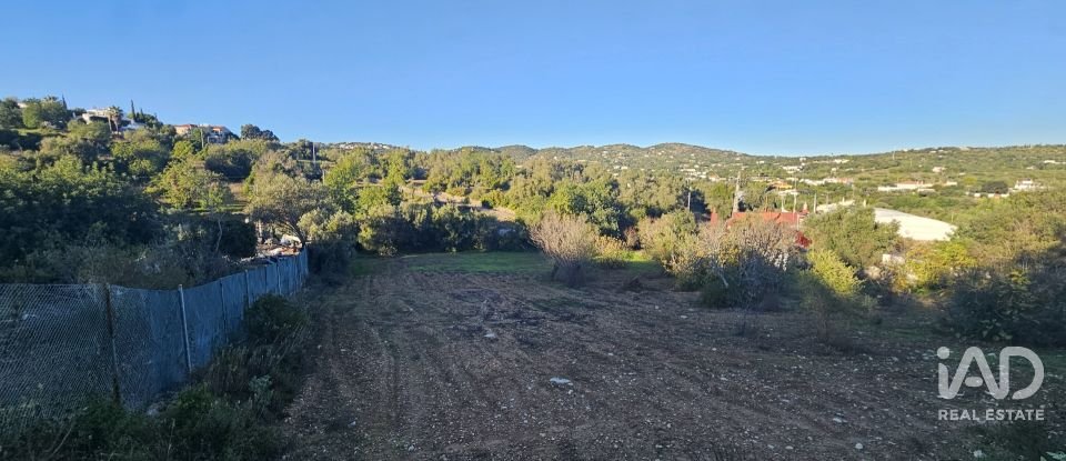 Terreno rústico em Santa Bárbara de Nexe de 4 520 m²