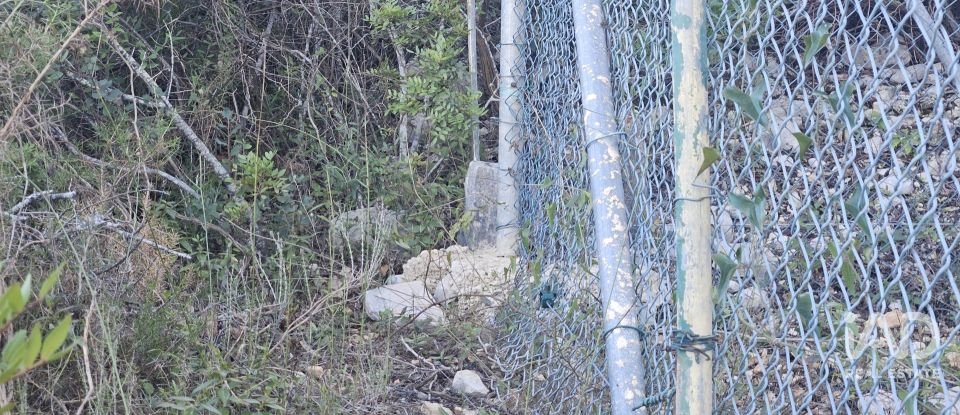 Terreno rústico em Santa Bárbara de Nexe de 4 520 m²