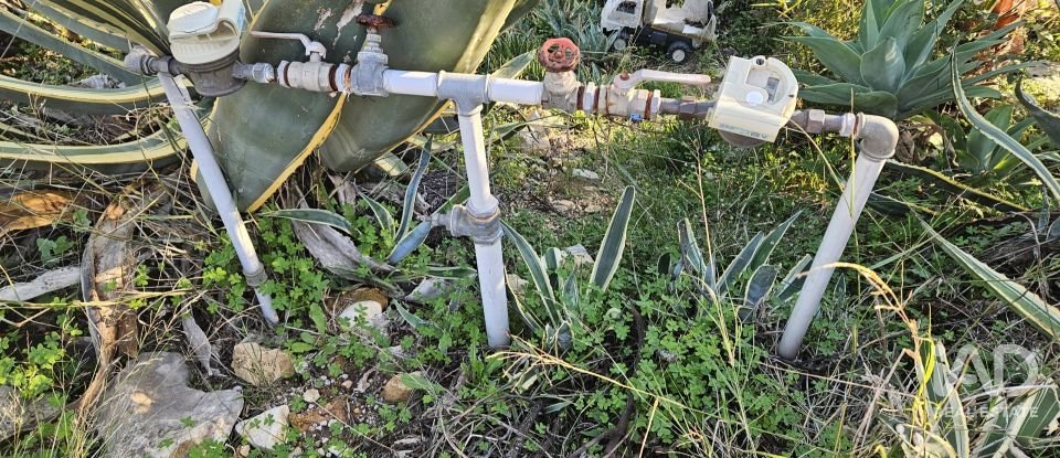 Terreno rústico em Santa Bárbara de Nexe de 4 520 m²