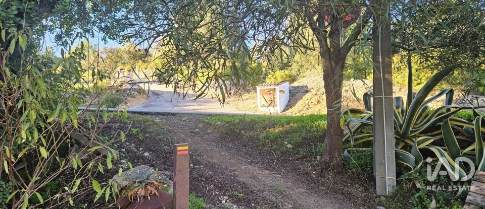 Terreno rústico em Santa Bárbara de Nexe de 4 520 m²