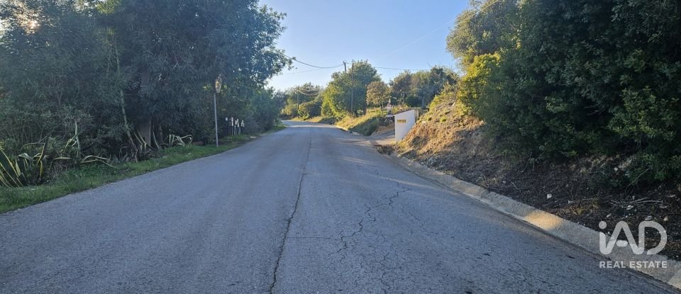 Terreno rústico em Santa Bárbara de Nexe de 4 520 m²