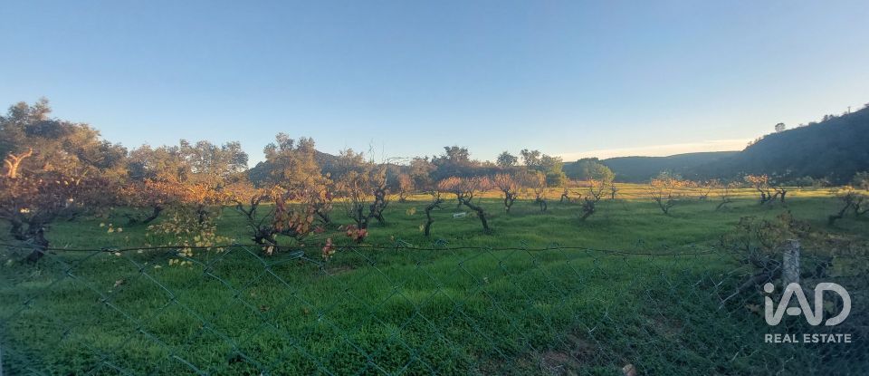 Casa / moradia T3 em Querença, Tôr e Benafim de 117 m²