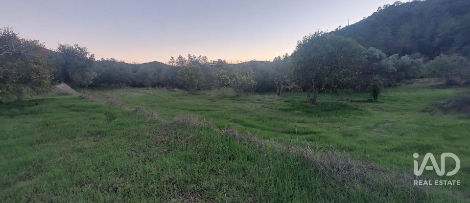 Casa / moradia T3 em Querença, Tôr e Benafim de 117 m²