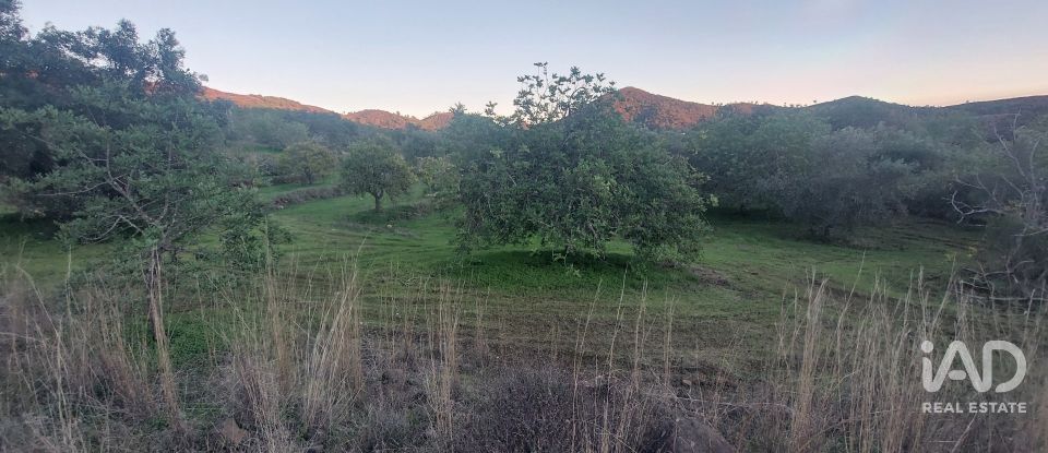 Casa / moradia T3 em Querença, Tôr e Benafim de 117 m²