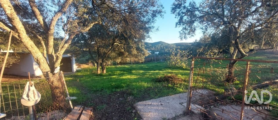 Casa / moradia T3 em Querença, Tôr e Benafim de 117 m²