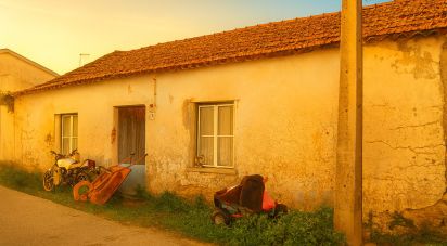 Maison de village T2 à Olalhas de 411 m²