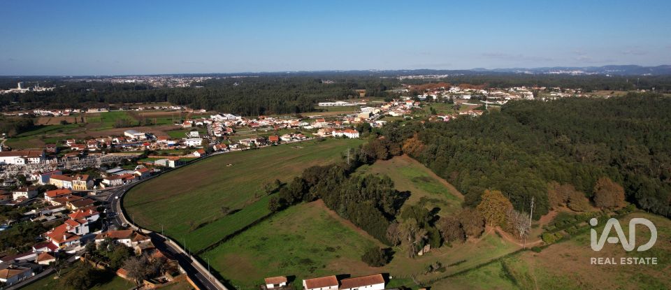 Moradia T4 em Beduído e Veiros de 258 m²