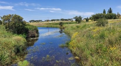 Domaine T5 à Ourique de 792 m²