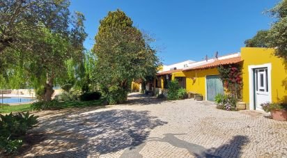 Domaine T5 à Ourique de 792 m²