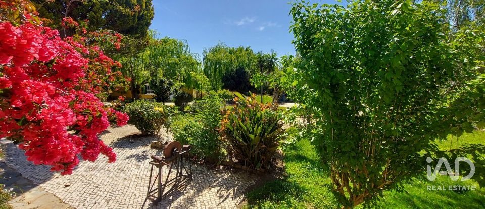 Herdade T5 em Ourique de 792 m²