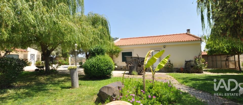 Herdade T5 em Ourique de 792 m²