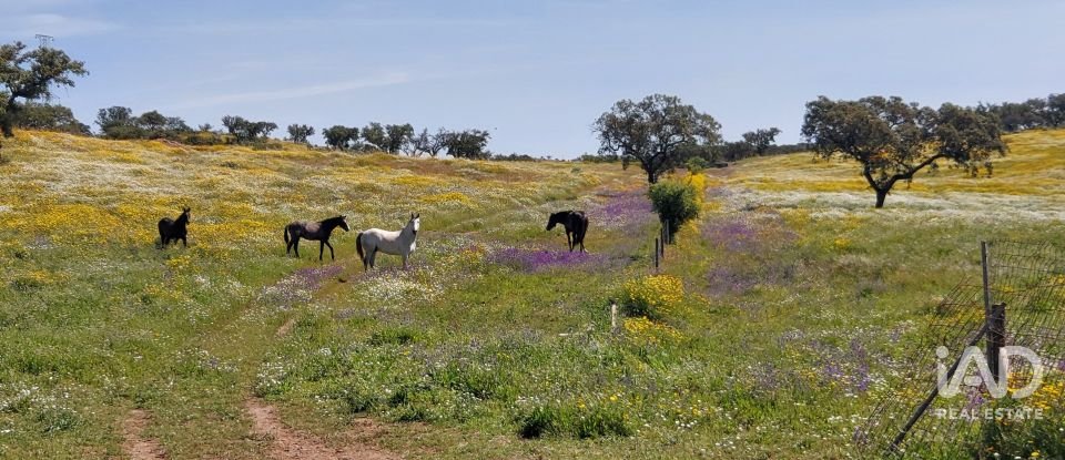 Herdade T5 em Ourique de 792 m²