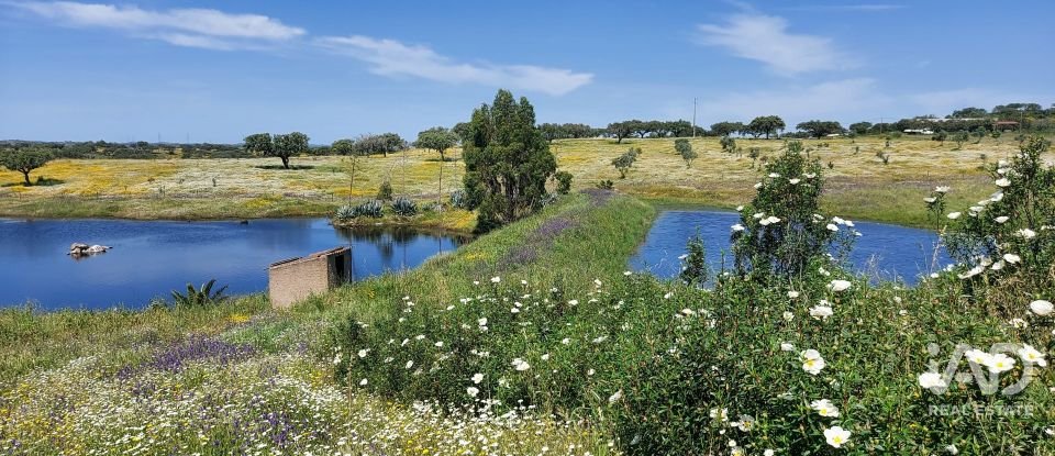 Herdade T5 em Ourique de 792 m²