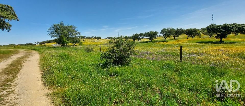 Herdade T5 em Ourique de 792 m²