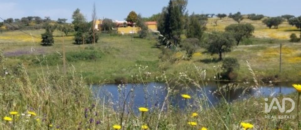 Herdade T5 em Ourique de 792 m²