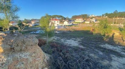 Terrain à bâtir à Olhalvo de 362 m²