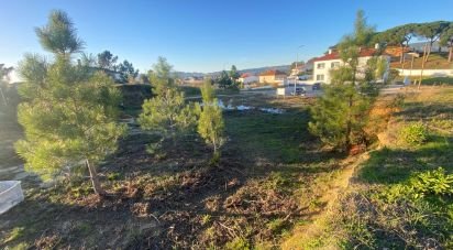 Terrain à bâtir à Olhalvo de 362 m²