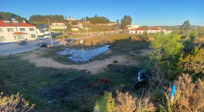 Terrain à bâtir à Olhalvo de 362 m²