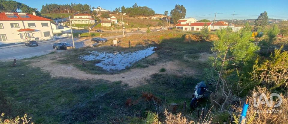 Terreno urbano em Olhalvo de 362 m²