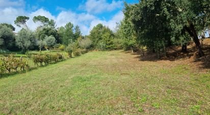 Terrain à bâtir à Poiares (Santo André) de 4 800 m²