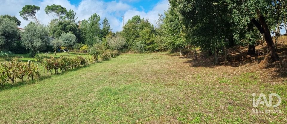 Terreno urbano em Poiares (Santo André) de 4 800 m²