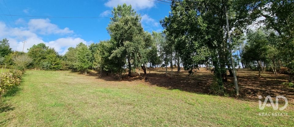 Terreno urbano em Poiares (Santo André) de 4 800 m²
