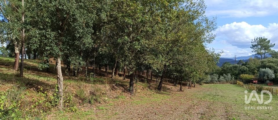 Terreno urbano em Poiares (Santo André) de 4 800 m²