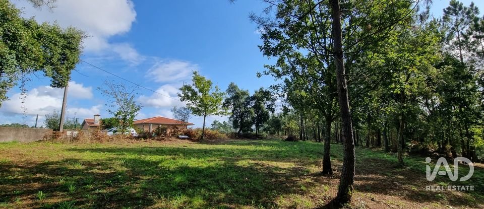 Terreno urbano em Poiares (Santo André) de 4 800 m²