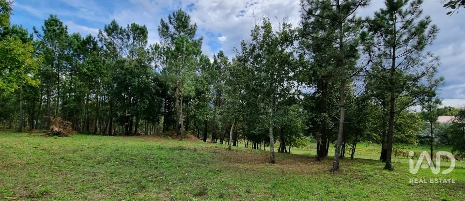 Terreno urbano em Poiares (Santo André) de 4 800 m²