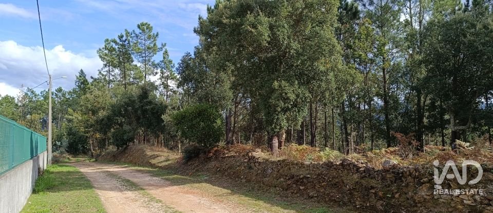 Terreno urbano em Poiares (Santo André) de 4 800 m²