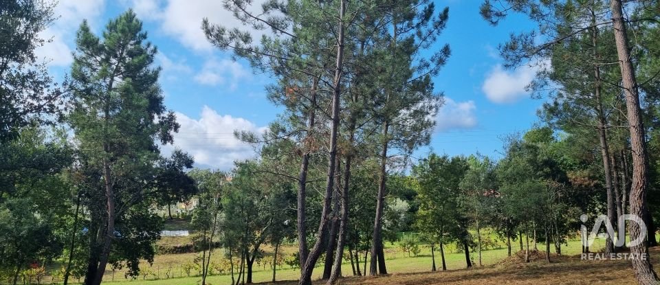 Terreno urbano em Poiares (Santo André) de 4 800 m²