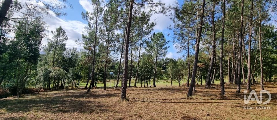 Terreno urbano em Poiares (Santo André) de 4 800 m²