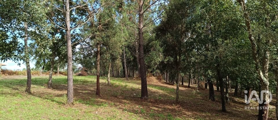 Terreno urbano em Poiares (Santo André) de 4 800 m²