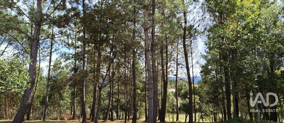 Terreno urbano em Poiares (Santo André) de 4 800 m²