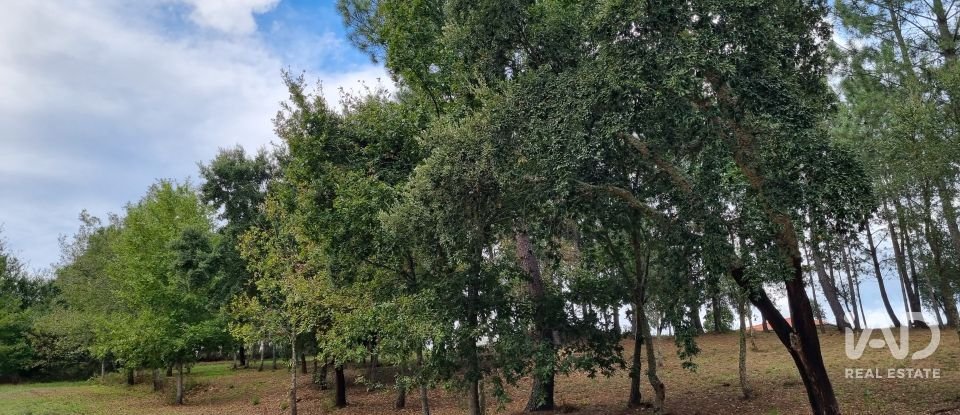 Terreno urbano em Poiares (Santo André) de 4 800 m²