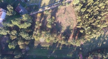 Terrain à bâtir à Poiares (Santo André) de 4 800 m²